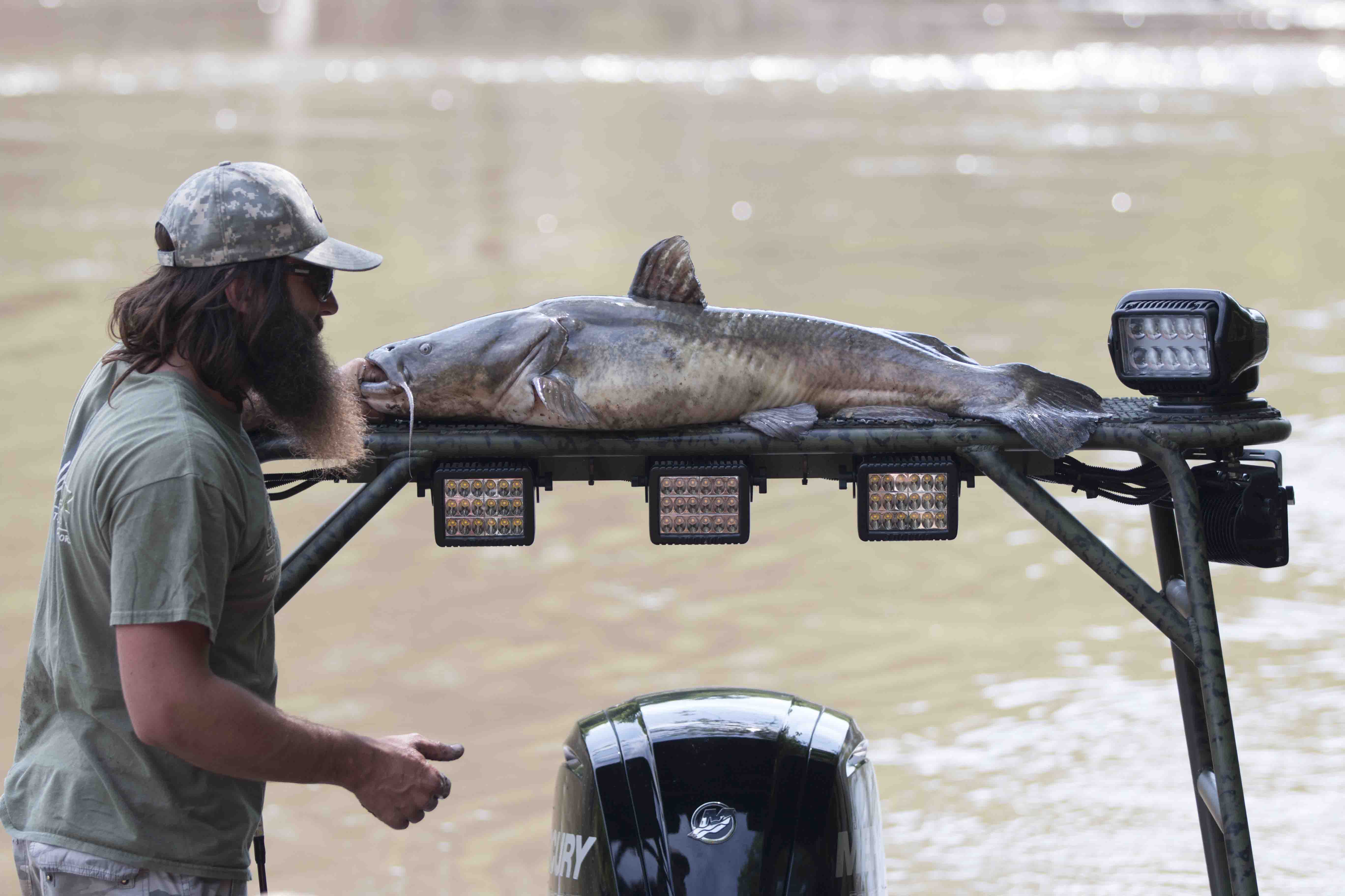 gobee light on a boat
